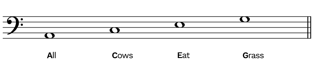 read bass clef notes